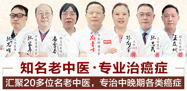 专家团队