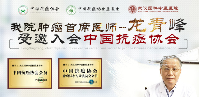 龙青峰荣誉